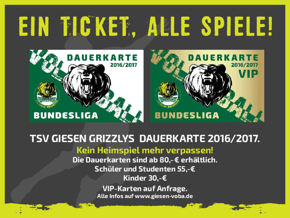 Dauerkarte Saison 2016/2017